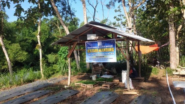 UNIT USAHA KETAHANAN PANGAN BUMDES LESTARI MANDING